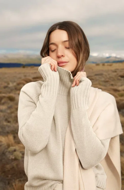 Italic Emma Cashmere Relaxed Turtleneck Sweater In Neutral