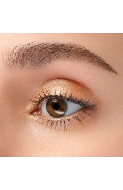 Anna Sui Shiny Eye Color