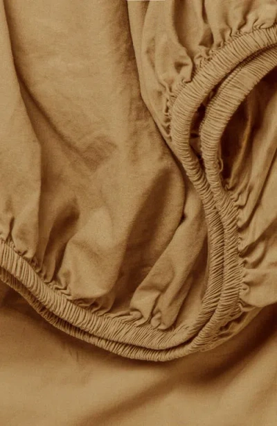 Parachute Brushed Cotton Sheet Set In Brown