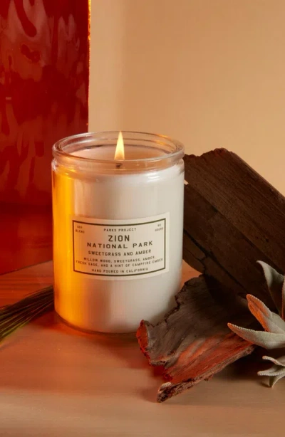 Parks Project Zion Sweetgrass And Amber Candle In Multi
