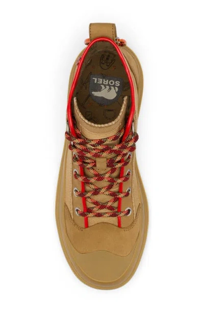 Sorel Scout N About™ Mid Sneaker