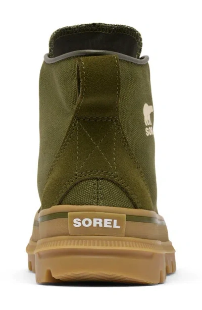 Sorel Scout N About™ Mid Sneaker