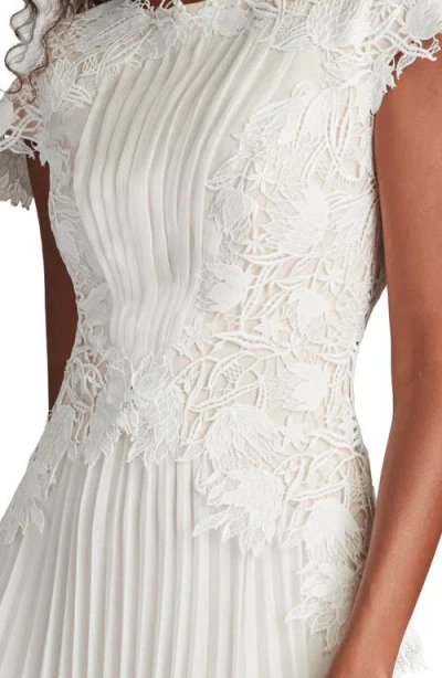Tadashi Shoji Embroidered Lace Cap Sleeve Gown