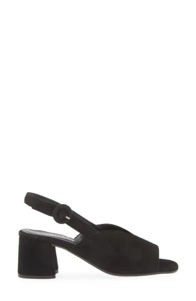 Cordani Pollette Slingback Sandal