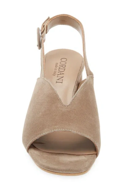 Cordani Pollette Slingback Sandal