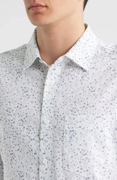Nordstrom Ditsy Floral Long Sleeve Stretch Cotton Blend Button-up Shirt In Transparent