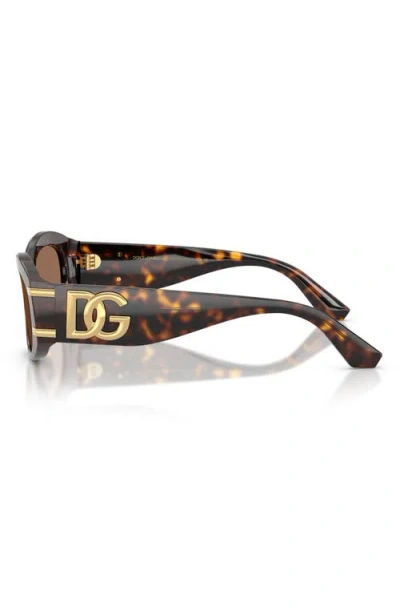 Dolce & Gabbana Dg4502 502/73
