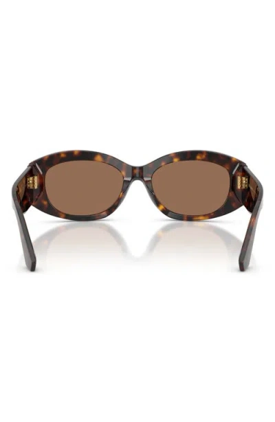 Dolce & Gabbana Dg4502 502/73