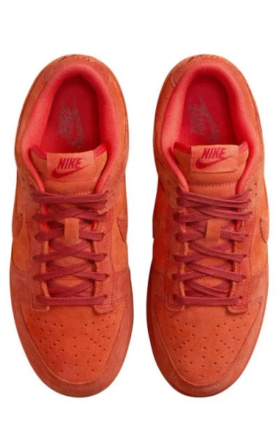 Nike Dunk Low Special Edition Sneaker