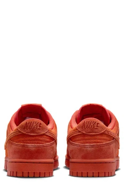 Nike Dunk Low Special Edition Sneaker
