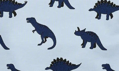 Miles The Label Kids' Dino Print French Terry Sweatshirt In Blue