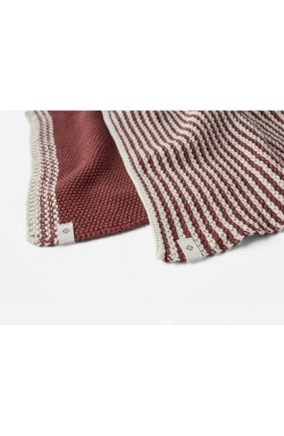 Coyuchi Shasta Set Of 2 Organic Cotton Dish Cloths