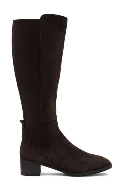 Aquatalia Rhegan Weatherproof Knee High Boot In Brown