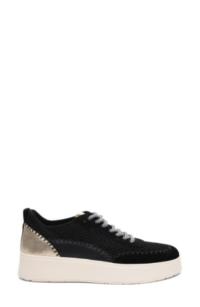 Sanctuary Peace 3.0 Platform Sneaker In Black