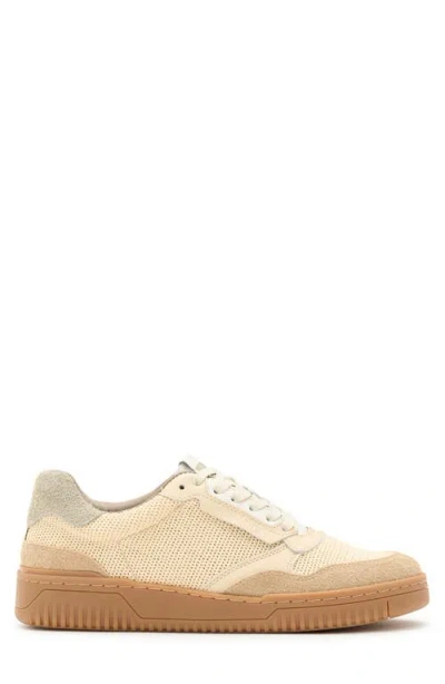Allsaints Regan Mesh Low Top Sneaker