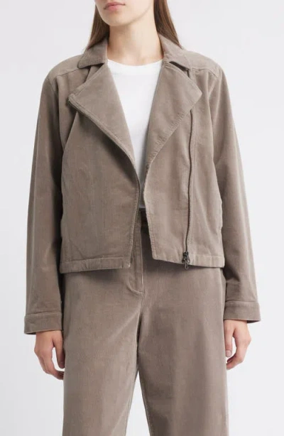 Eileen Fisher Short Rider Jacket In Brown