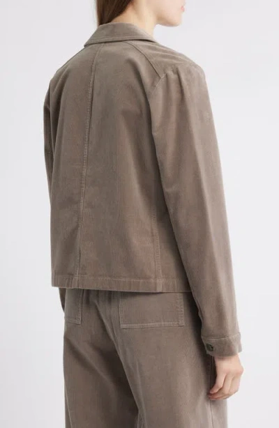 Eileen Fisher Short Rider Jacket In Brown