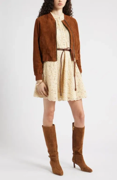 Chelsea28 Long Sleeve Belted Lace Minidress In Yellow