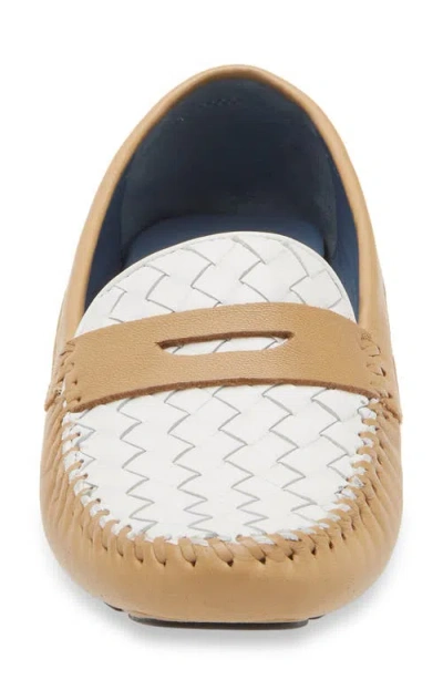 Robert Zur 'petra' Driving Shoe