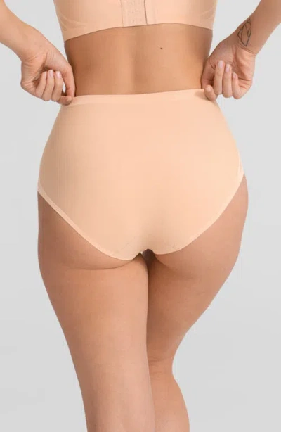 Honeylove Silhouette Shaping Briefs In Neutral
