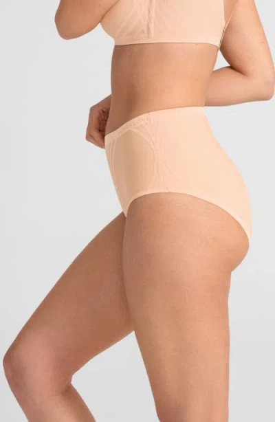 Honeylove Silhouette Shaping Briefs In Neutral