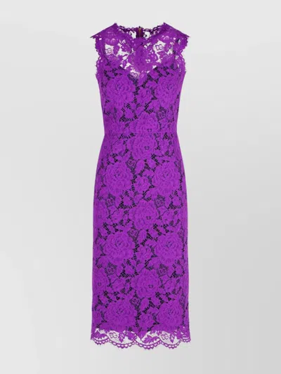 Dolce & Gabbana Floral Lace Knee-length Dress In Purple