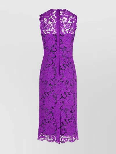 Dolce & Gabbana Floral Lace Knee-length Dress In Purple