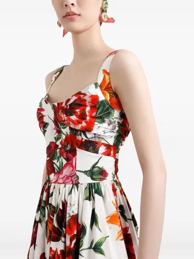 Dolce & Gabbana Women Anemoni Print Cotton Midi Dress