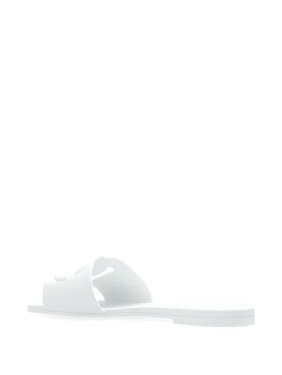Dolce & Gabbana Women Dg Logo Slides