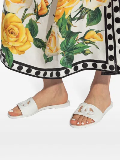 Dolce & Gabbana Women Dg Logo Slides