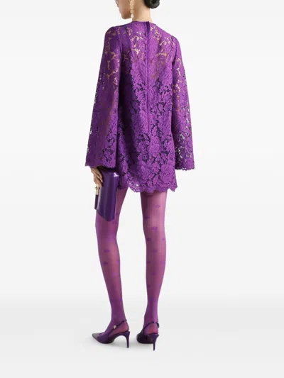 Dolce & Gabbana Cordonetto Lace Short Dress In Purple
