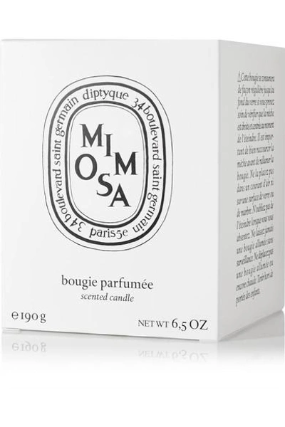 Shop Diptyque Mimosa Scented Candle, 190g In Colorless