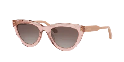 Chloé Womens Red Ch0294s Cat Eye-frame Acetate Sunglasses