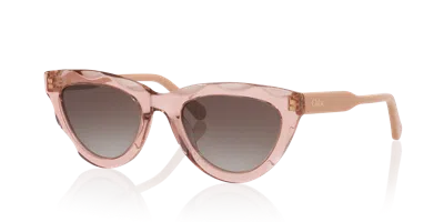 Chloé Womens Red Ch0294s Cat Eye-frame Acetate Sunglasses