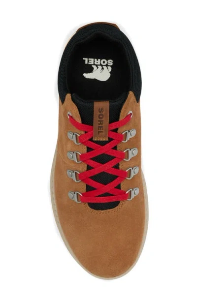 Sorel Men's Mac Hill Lite Hiker Low Waterproof Lace-up Sneakers