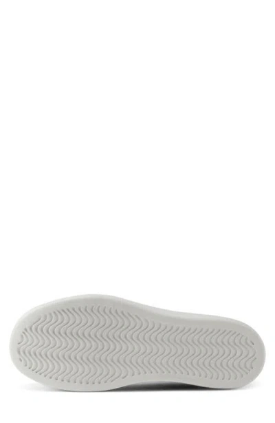 Allbirds Canvas Piper 2 Sneaker