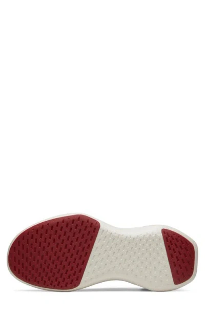 Allbirds Tree Dasher Relay Sneaker