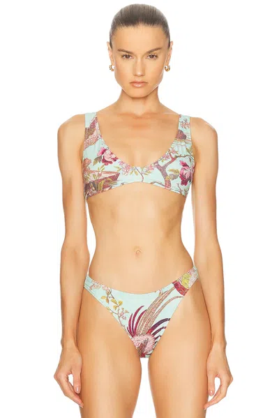 Skims X Cavalli Plunge Triangle Bikini Top