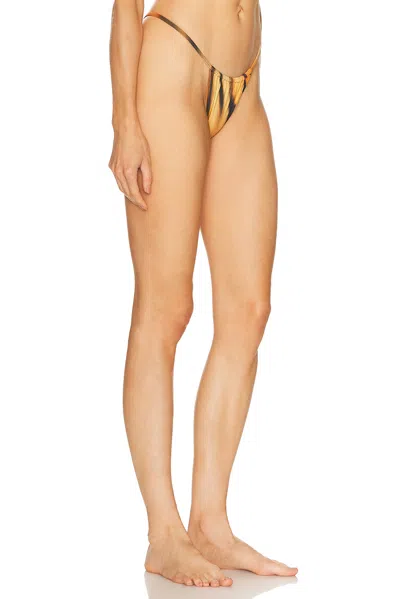 Skims X Cavalli String Bikini Bottom
