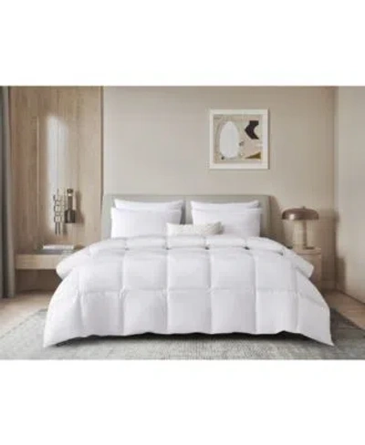 Beautyrest Feather Down Fiber Comforter