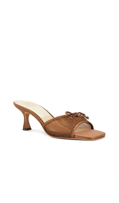 Dolce Vita Galen Mule
