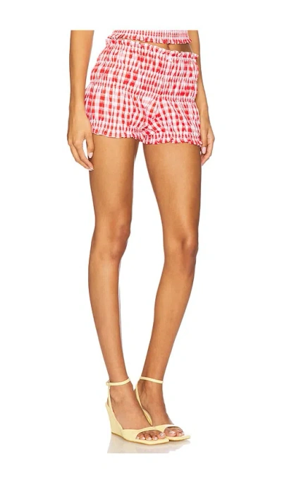 Majorelle Roxy Bloomer Short In Pink