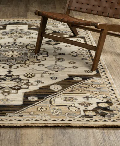 Oriental Weavers Acacia Aca04 9'10"x12'10" Area Rug In Brown