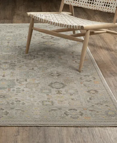 Oriental Weavers Keaton Kea06 6'7"x9'6" Area Rug In Neutral
