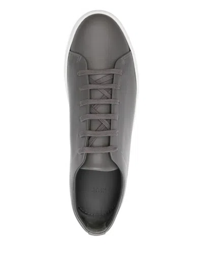 Jak Royal Leather Sneakers In Gray