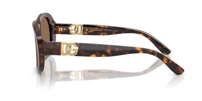 Dolce & Gabbana Dolce  Gabbana Eyewear Round Frame Sunglasses