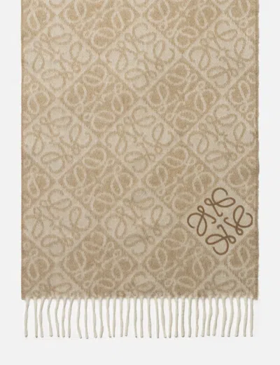 Loewe Anagram Scarf