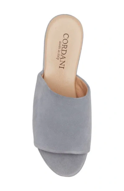 Cordani Riley Platform Wedge Slide Sandal