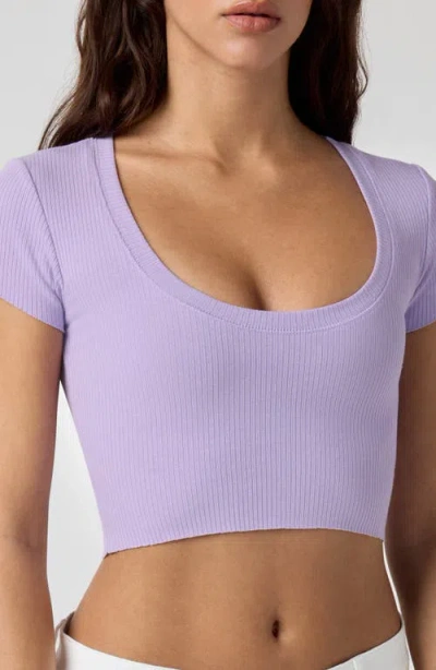Florence By Mills Softie Rib Short Sleeve Crop Top In Brown