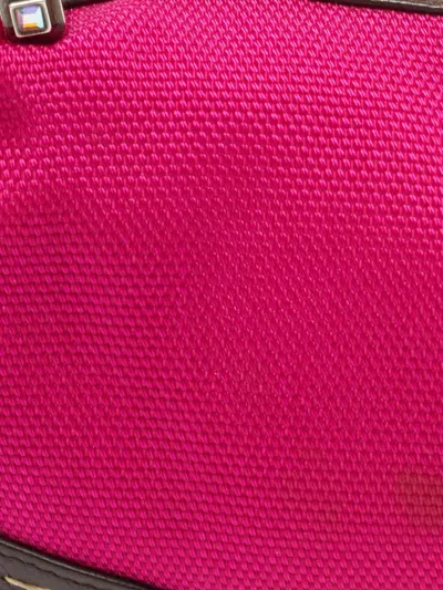 Pre-owned Escada Eluna Handbag In Pink